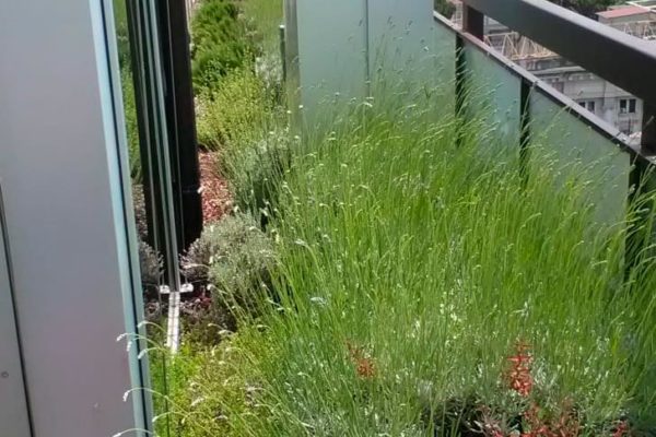 Attico Privato Terni - Verde Pensile Intensivo