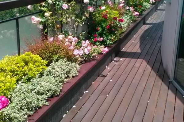 Attico Privato Terni - Verde Pensile Intensivo