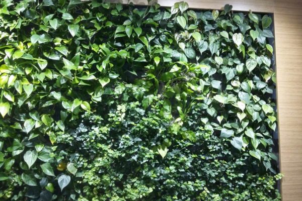 Tecnologia Verde Verticale Green Safe