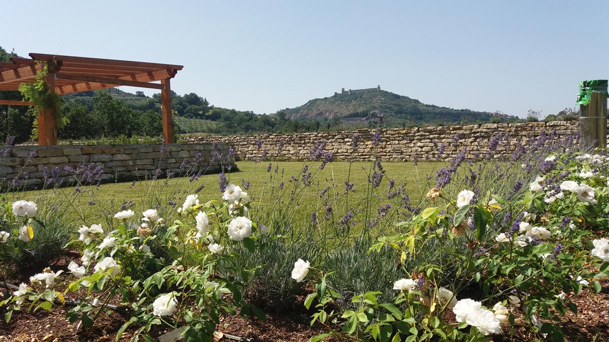 Assisi – Verde Pensile Intensivo