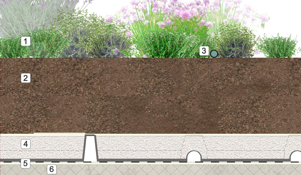 STRATIGRAFIA ESTENSIVA AROMATICHE