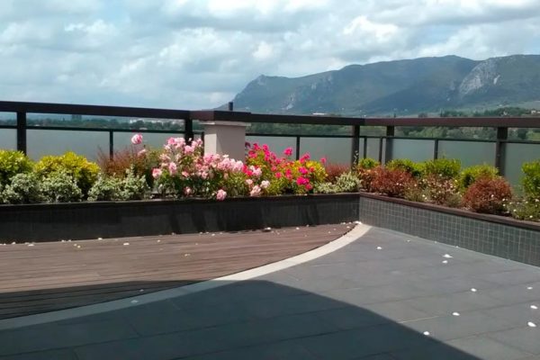 Attico Privato Terni - Verde Pensile Intensivo
