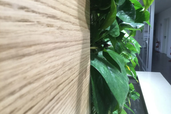 Parete Verde Verticale indoor