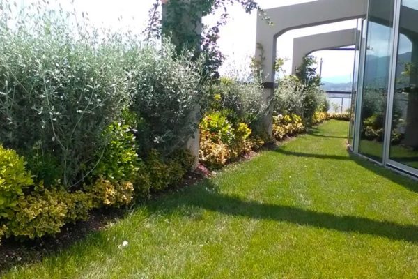 Attico Privato Terni - Verde Pensile Intensivo