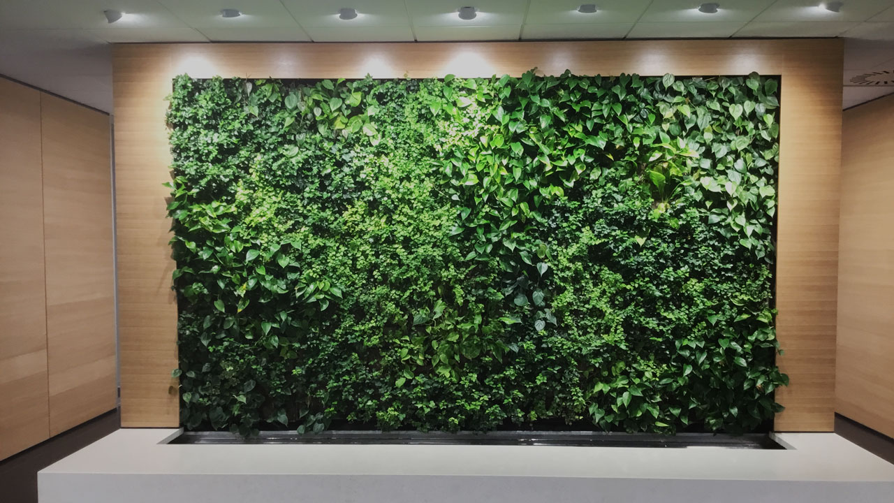 Verde Verticale Indoor