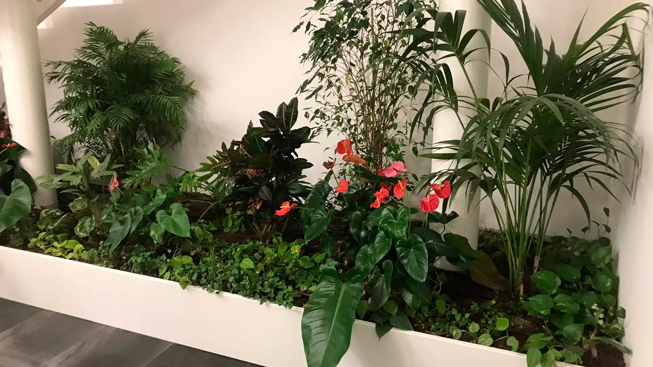 Allestimento Verde Pensile Indoor